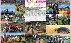 Funky Fynbos Festival